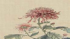 水墨画菊花图片大全