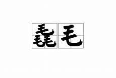 毛寅简介
