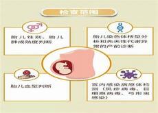 羊穿风险大不大